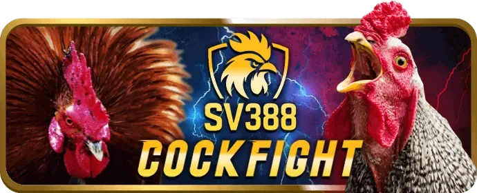 Gửi email cho đội ngũ hỗ trợ khách hàng của 88k bet